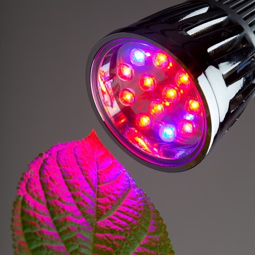 Best LED Grow Lights in 2019 For Your House Plants