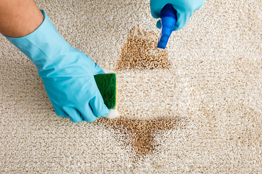 spotoff carpet and upholstery cleaning