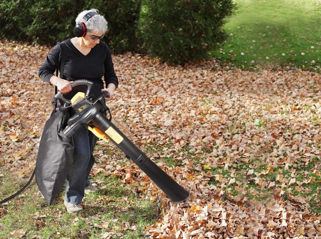 top rated leaf vacuum