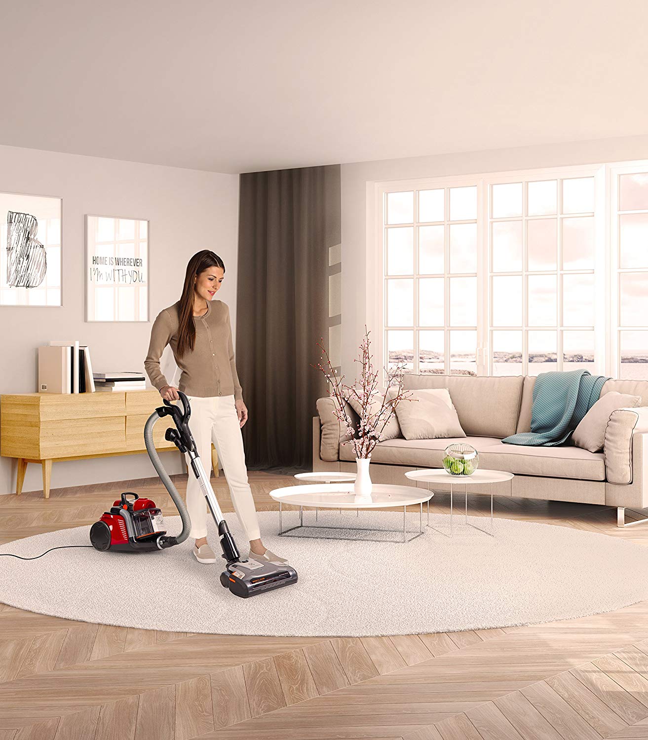 best vacuum for shag carpets